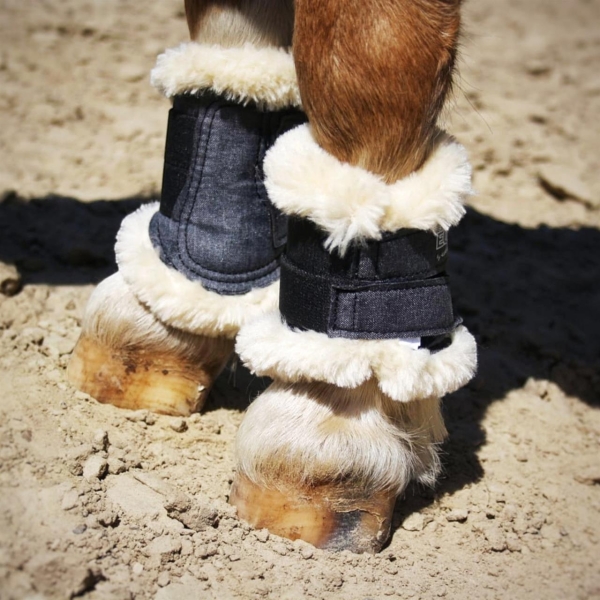 EQUEST Gamasche für Shetlandpony am Vorderbein angebracht