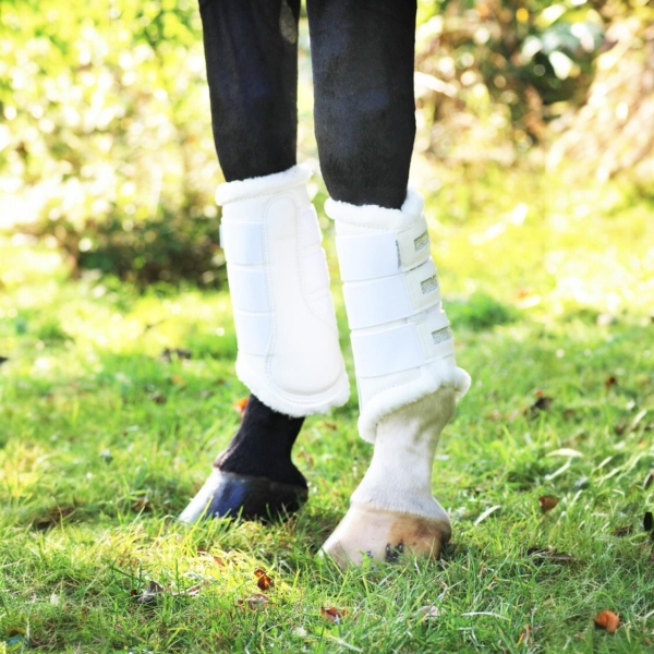 525750_1000_2011.jpg