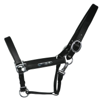 640500_1099.png 640500_1099.png