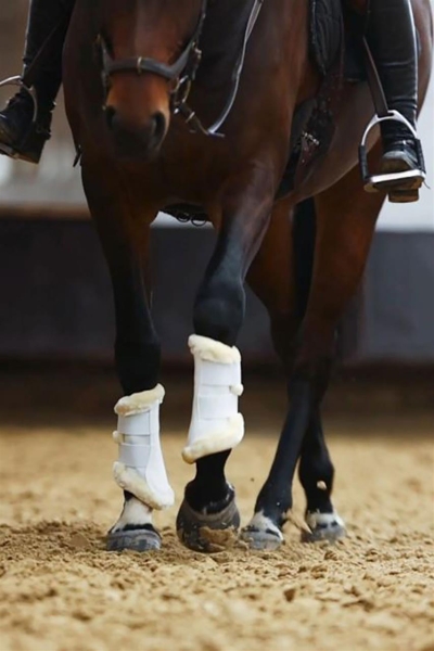 525575_1000_2110_Detail_reiten.jpg