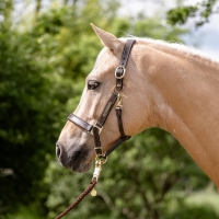 640500_1099.png 640500_1099.png