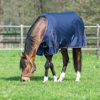 480553_1590_9627_2.jpg 480553_1590_9627_2.jpg