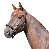 111105_1099.jpg 111105_1099.jpg