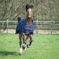 480553_1590_9627_2.jpg 480553_1590_9627_2.jpg