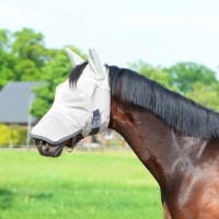 581000_1050_1_Kopie.jpg 581000_1050_1_Kopie.jpg