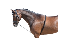 216760_1099_1.jpg 216760_1099_1.jpg