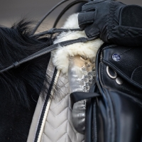 360600_Pferd_Detail_Kopie.jpg 360600_Pferd_Detail_Kopie.jpg