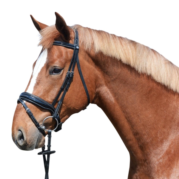 640480_1099_amPferd.jpg